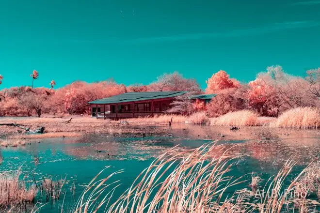 Vibrant wooden cabin by turquoise pond in Estero Llano Grande State Park