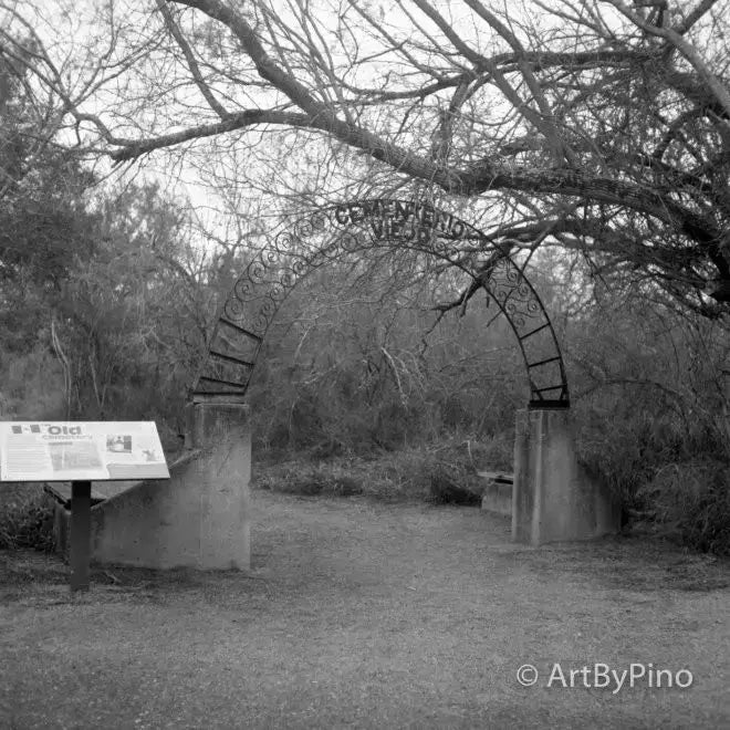 Ornate wrought iron archway in Santa Ana Cemetery, Acufine developer view fullsize