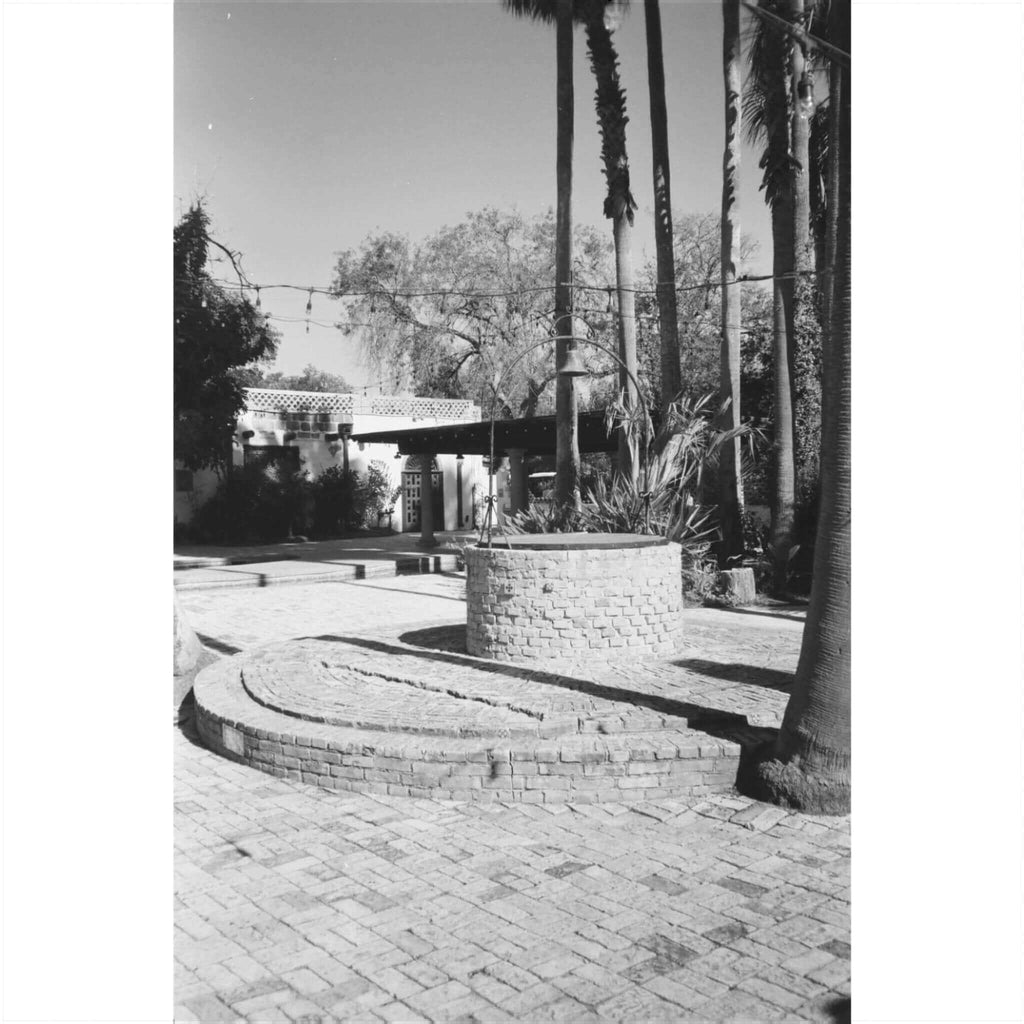 Black and white image of a brick-walled round fountain surrounded by palm trees in an outdoor setting.