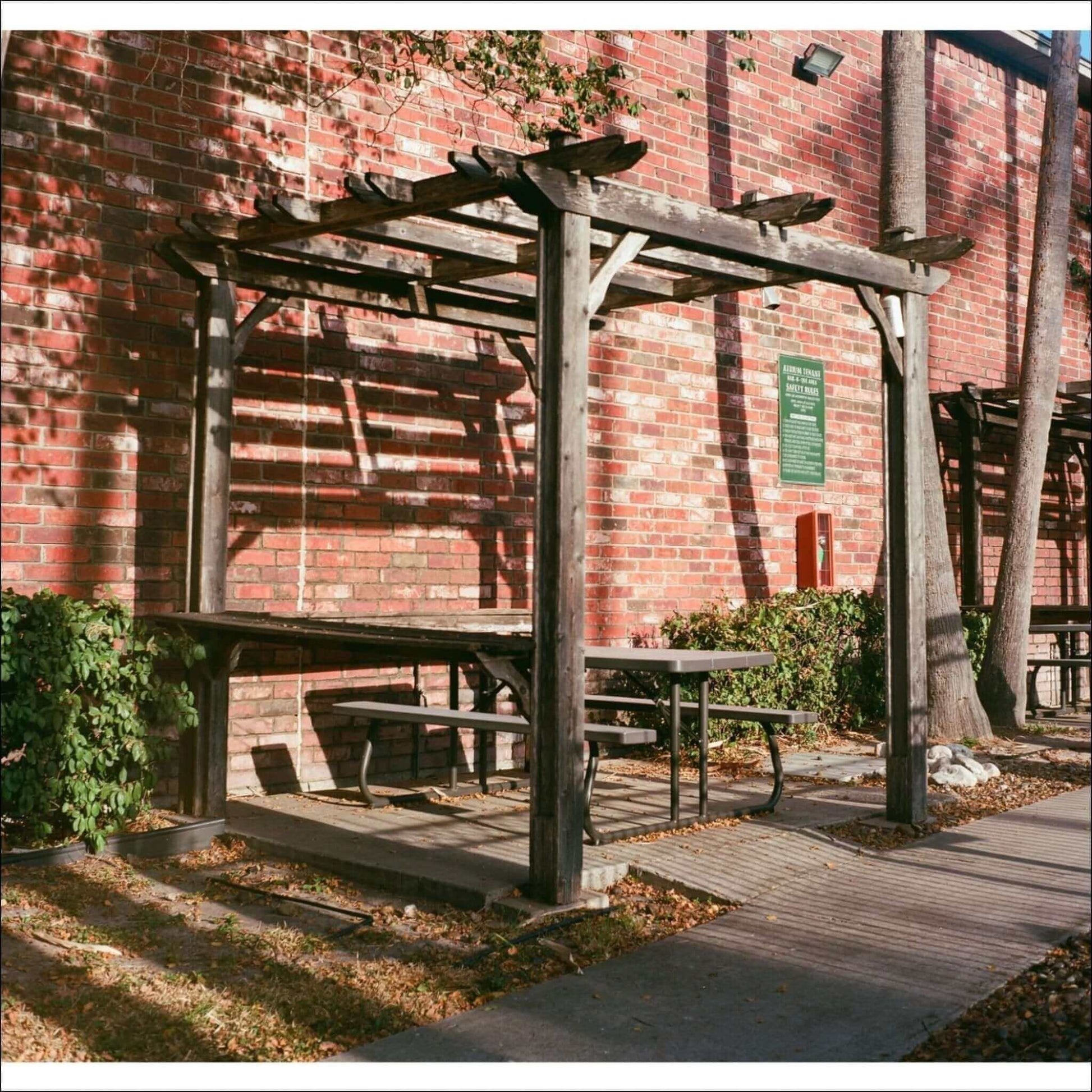 Wooden pergola with tables and greenery against a brick wall, perfect for outdoor dining or relaxation.