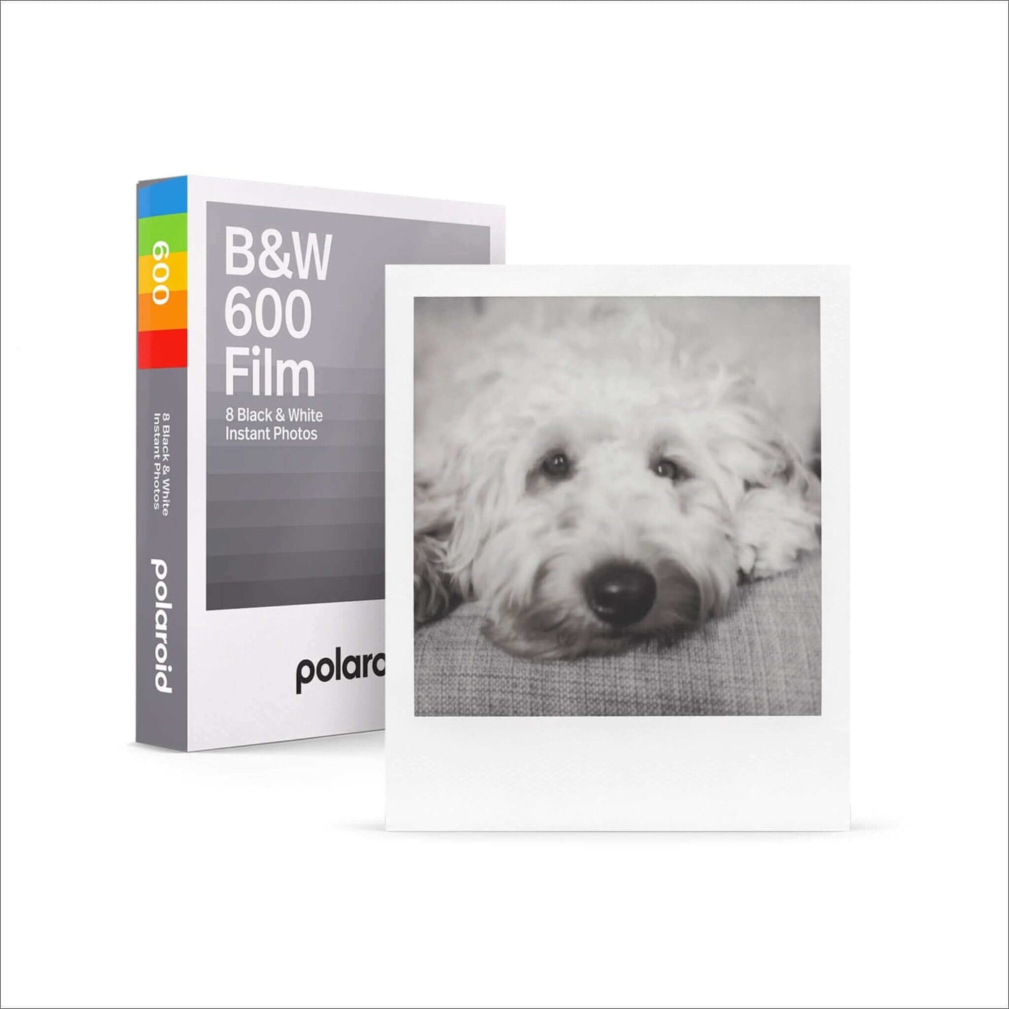 Polaroid BW 600 film pack with an instant photo of a dog, showcasing 8 black and white exposures.