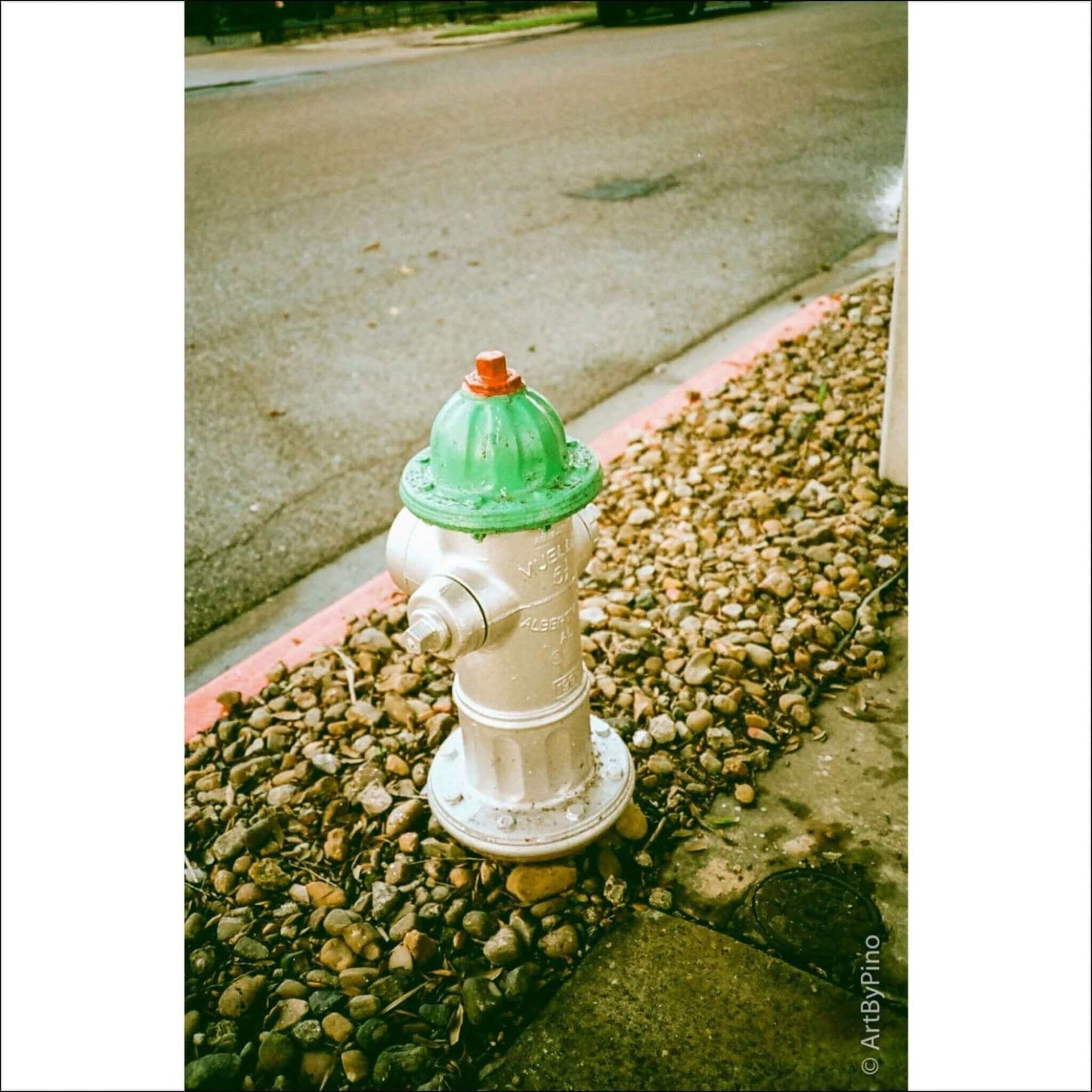 Santa Color 100 Iso C41 35mm 36 Exp Film